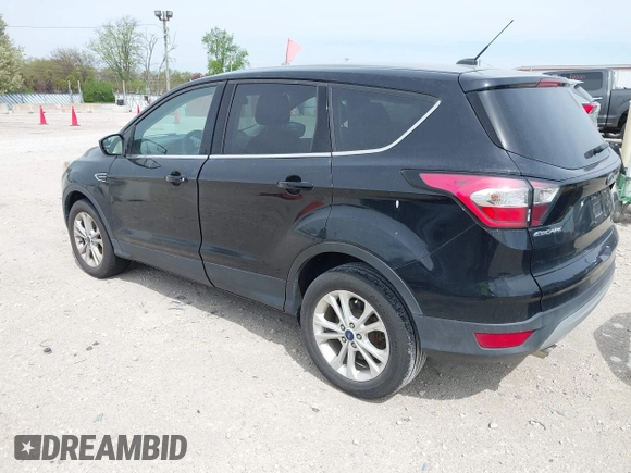 2017 Ford Escape SE with VIN 1FMCU0GD3HUC91104, listed as a IAAI auction lot 42142522 with 107,147 mi miles. Bid and sale history available at carsss.com. Image 3.