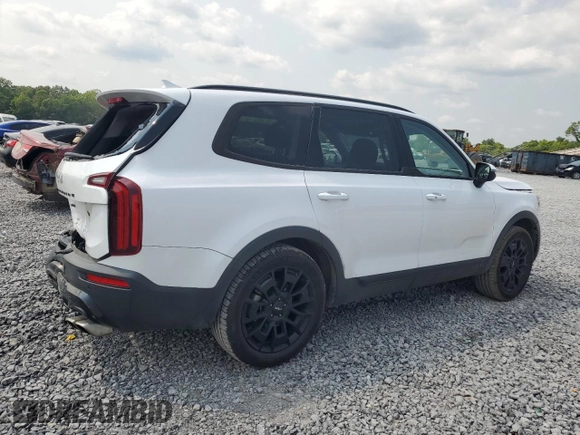 2022 Kia Telluride EX with VIN 5XYP3DHC3NG291087, listed as a Copart auction lot 59271455 with 75,318 mi miles and Salvage title. Bid and sale history available at DreamBid. Image 3.