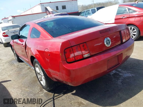 2005 Ford Mustang Deluxe with VIN 1ZVFT80NX55119984, listed as a IAAI auction lot 41921403 with 243,278 mi miles and . Bid and sale history available at DreamBid. Image 3.