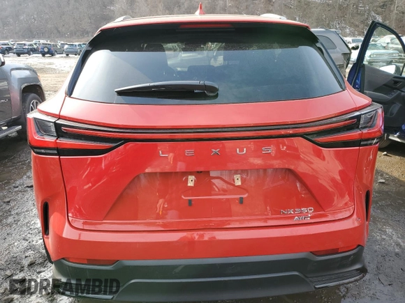 2024 Lexus NX with VIN 2T2AGCEZ5RC050948, listed as a Copart auction lot 46676265 with 10,263 mi miles and Salvage Title. Bid and sale history available at carsss.com. Image 6.