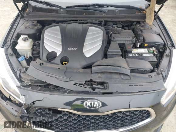 2015 Kia Cadenza Premium with VIN KNALN4D70F5177461, listed as a IAAI auction lot 41382190 with 214,538 mi miles. Bid and sale history available at carsss.com. Image 10.