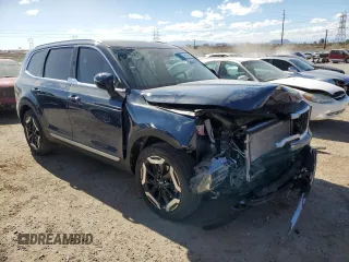 2024 Kia Telluride EX with VIN 5XYP34GC3RG561846, listed as a Copart auction lot 42808235 with 1,334 mi miles and Salvage Title. Bid and sale history available at DreamBid. Image 4.