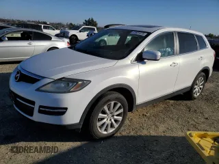 2009 Mazda CX-9 Grand Touring with VIN JM3TB38V490174439, listed as a Copart auction lot 41821075 with 136,166 mi miles and Salvage Title. Bid and sale history available at carsss.com. Image 1.