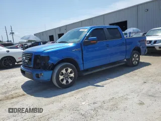 2012 Ford F-150 XL z VIN 1FTFW1CF0CFA09989, wystawiony jako Copart lot #57421825 z przebiegiem 205 554 mil mil oraz Szkody całkowita. Historia ofert i sprzedaży dostępna na DreamBid. Obrazek 1.