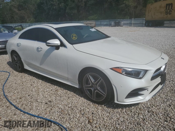 2019 Mercedes-Benz CLS with VIN WDD2J5KB7KA042539, listed as a Copart auction lot 66721134 with 0 mi miles and Non Repairable. Bid and sale history available at carsss.com. Image 4.