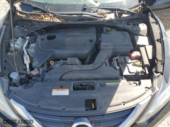 2017 Nissan Altima 2.5 SL with VIN 1N4AL3AP5HC207525, listed as a Copart auction lot 48458895 with 209,029 mi miles and Salvage Title. Bid and sale history available at carsss.com. Image 11.