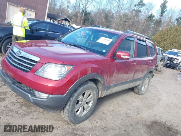2009 Kia Borrego LX with VIN KNDJH741495032040, listed as a IAAI auction lot 41740606 with 305,209 mi miles. Bid and sale history available at carsss.com. Image 17.