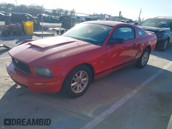2009 Ford Mustang with VIN 1ZVHT80N595126484, listed as a IAAI auction lot 41226847 with 117,273 mi miles and . Bid and sale history available at carsss.com. Image 2.