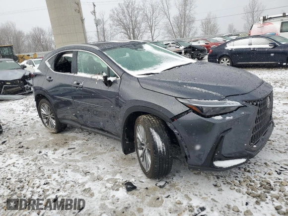 2024 Lexus NX 350 Luxury with VIN 2T2HGCEZ9RC032032, listed as a Copart auction lot 49675905 with 35,441 mi miles and Salvage title. Bid and sale history available at DreamBid. Image 4.
