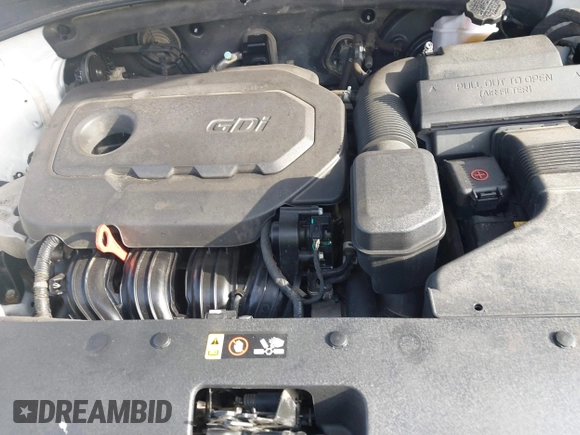 2018 Kia Sorento LX with VIN 5XYPG4A3XJG419446, listed as a IAAI auction lot 41696265 with 96,233 mi miles. Bid and sale history available at carsss.com. Image 10.