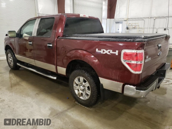 2010 Ford F-150 XL with VIN 1FTFW1EVXAKC19217, listed as a Copart auction lot 49967965 with 178,418 mi miles and Salvage Title. Bid and sale history available at carsss.com. Image 2.