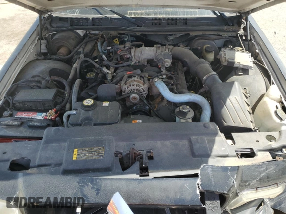 2006 Ford Police Interceptor with VIN 2FAHP71W36X149724, listed as a Copart auction lot 50381545 with Not provided miles and Salvage title. Bid and sale history available at DreamBid. Image 11.