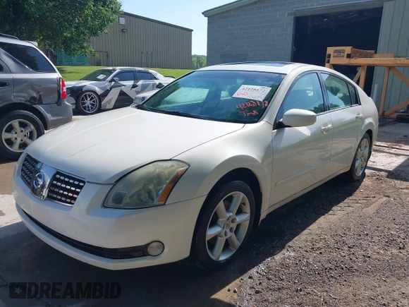 2004 Nissan Maxima SL with VIN 1N4BA41E24C882953, listed as a IAAI auction lot 42128172 with 190,413 mi miles and . Bid and sale history available at DreamBid. Image 2.