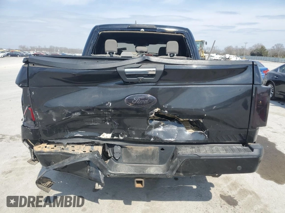 2015 Ford F-150 XLT with VIN 1FTEW1C81FKD32005, listed as a Copart auction lot 48294905 with 142,281 mi miles and Salvage Title. Bid and sale history available at carsss.com. Image 6.