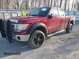 2013 Ford F-150 XL with VIN 1FTFX1ETXDFE02741, listed as a IAAI auction lot 41784630 with 141,081 mi miles and . Bid and sale history available at DreamBid. Image 2.