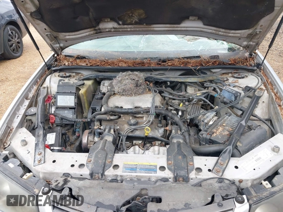 2003 Chevrolet Impala z VIN 2G1WF52EX39275506, wystawiony jako IAAI lot #42344997 z przebiegiem 276 321 mil mil oraz . Historia ofert i sprzedaży dostępna na DreamBid. Obrazek 10.