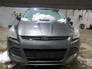2014 Ford Escape SE with VIN 1FMCU9GX8EUC26579, listed as a Copart auction lot 48147975 with Not Provided miles and Clean Title. Bid and sale history available at DreamBid. Image 5.