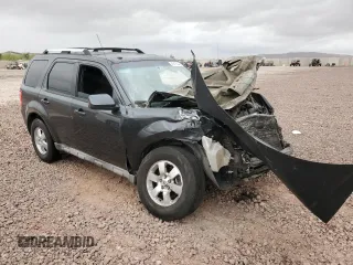 2009 Ford Escape Limited with VIN 1FMCU94769KC21080, listed as a Copart auction lot 65809795 with 171,483 mi miles and Salvage title. Bid and sale history available at DreamBid. Image 4.