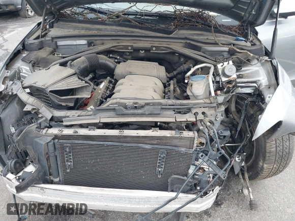 2010 Audi Q5 Premium Plus с VIN WA1LKAFP3AA005541, выставлен на аукционе IAAI как лот 42382512 с пробегом 148 331 миль миль и . История ставок и продаж доступна на DreamBid. Изображение 10.