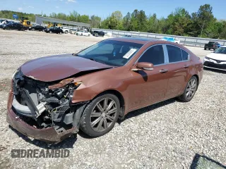2009 Acura TL Tech with VIN 19UUA86519A003840, listed as a Copart auction lot 52365865 with 256,973 mi miles and Clean Title. Bid and sale history available at carsss.com. Image 1.