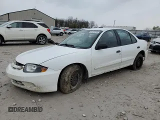 2004 Chevrolet Cavalier with VIN 1G1JC52F347291562, listed as a Copart auction lot 81304694 with 176,257 mi miles and Salvage Title. Bid and sale history available at DreamBid. Image 1.