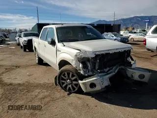 2009 Ford F-150 XL with VIN 1FTPW14V29KA73056, listed as a Copart auction lot 45048505 with 257,907 mi miles and Salvage Title. Bid and sale history available at carsss.com. Image 11.