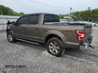 2019 Ford F-150 XL with VIN 1FTEW1E50KKC39280, listed as a Copart auction lot 53943915 with Not provided miles and Salvage title. Bid and sale history available at DreamBid. Image 2.