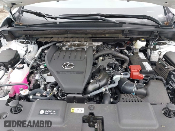 2025 Lexus NX 350 Premium with VIN 2T2GGCEZ1SC081789, listed as a IAAI auction lot 42498877 with 2,369 mi miles and . Bid and sale history available at DreamBid. Image 10.