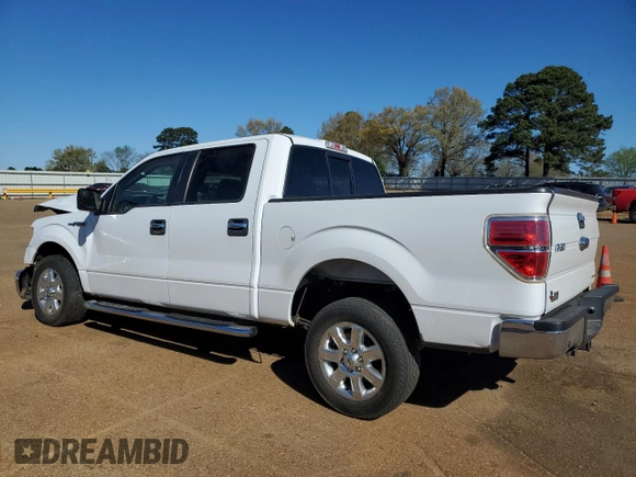 2014 Ford F-150 XL with VIN 1FTFW1CF1EKF46526, listed as a Copart auction lot 49908745 with Not Provided miles and Salvage Title. Bid and sale history available at carsss.com. Image 2.