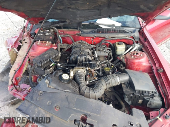 2006 Ford Mustang Standard with VIN 1ZVFT80N165150848, listed as a IAAI auction lot 40840939 with 208,924 mi miles and . Bid and sale history available at DreamBid. Image 10.