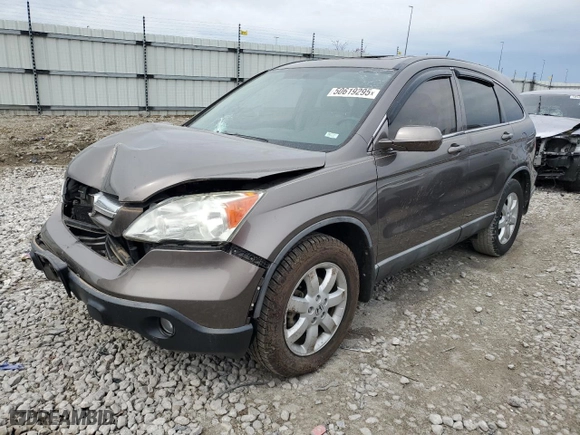 2009 Honda CR-V EX-L with VIN 5J6RE38749L007194, listed as a Copart auction lot 50619295 with 123,613 mi miles and Salvage Title. Bid and sale history available at carsss.com. Image 1.