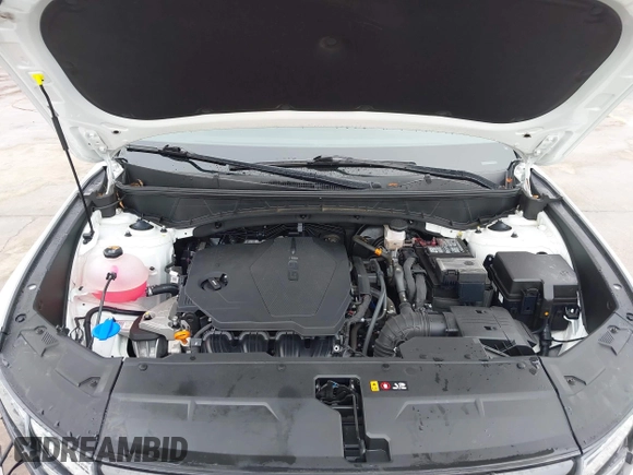 2024 Hyundai Tucson SE with VIN 5NMJA3DE4RH299305, listed as a IAAI auction lot 41200216 with 14,998 mi miles and . Bid and sale history available at DreamBid. Image 10.