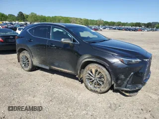 2024 Lexus NX 250 с VIN 2T2ADCAZ4RC009662, выставлен на аукционе Copart как лот 52331615 с пробегом 40 496 миль миль и Списание • Salvage title. История ставок и продаж доступна на DreamBid. Изображение 4.