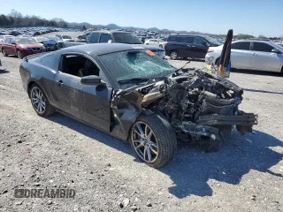2013 Ford Mustang GT with VIN 1ZVBP8CF6D5248746, listed as a Copart auction lot 49592435 with Not Provided miles and Salvage Title. Bid and sale history available at carsss.com. Image 4.