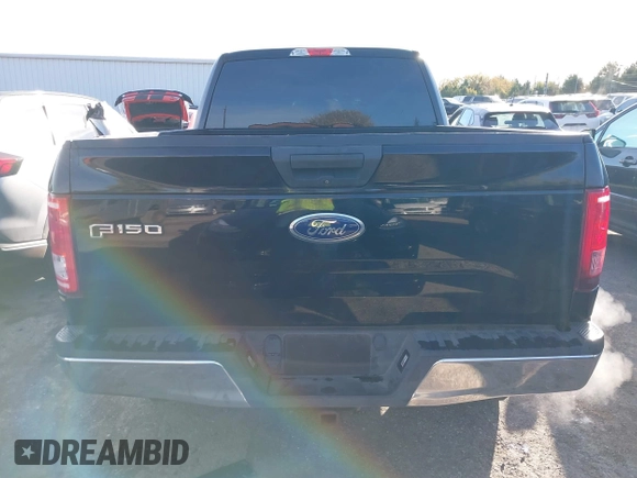 2016 Ford F-150 XLT with VIN 1FTEX1EP2GKE42449, listed as a IAAI auction lot 40754639 with 96,695 mi miles. Bid and sale history available at carsss.com. Image 17.