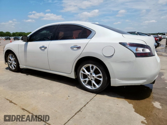 2014 Nissan Maxima SV with VIN 1N4AA5AP7EC460391, listed as a Copart auction lot 59004355 with 205,599 mi miles and Salvage title. Bid and sale history available at DreamBid. Image 2.