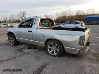 2003 Dodge Ram 1500 ST with VIN 1D7HA16N83J574066, listed as a Copart auction lot 49056675 with 110,308 mi miles and Salvage Title. Bid and sale history available at carsss.com. Image 2.