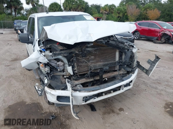 2017 Ford F-150 XL with VIN 1FTEW1CF6HFA51201, listed as a IAAI auction lot 38205513 with 313,459 mi miles. Bid and sale history available at carsss.com. Image 6.