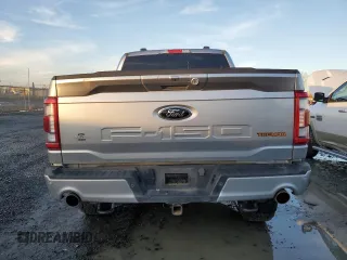 2023 Ford F-150 XL with VIN 1FTEW1E8XPFB14183, listed as a Copart auction lot 41438265 with 20,666 mi miles and Salvage Title. Bid and sale history available at carsss.com. Image 6.