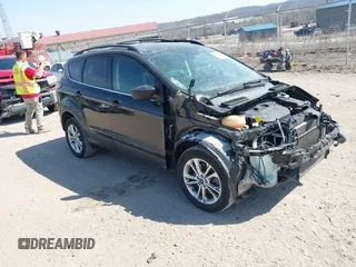 2017 Ford Escape SE with VIN 1FMCU9G98HUB94481, listed as a IAAI auction lot 41795259 with 114,209 mi miles. Bid and sale history available at carsss.com. Image 1.