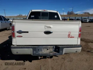 2009 Ford F-150 XL with VIN 1FTPW14V29KA73056, listed as a Copart auction lot 45048505 with 257,907 mi miles and Salvage Title. Bid and sale history available at carsss.com. Image 6.
