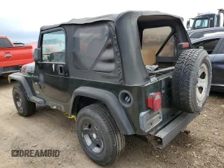 1998 Jeep Wrangler SE with VIN 1J4FY29P9WP767516, listed as a Copart auction lot 58149245 with 190,964 mi miles and Salvage title. Bid and sale history available at DreamBid. Image 2.