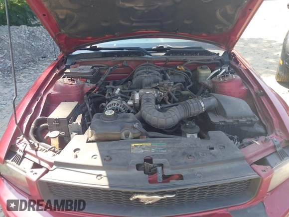 2006 Ford Mustang Standard with VIN 1ZVFT84N865222011, listed as a IAAI auction lot 42523400 with 234,756 mi miles and . Bid and sale history available at DreamBid. Image 10.