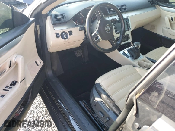 2010 Volkswagen CC Luxury with VIN WVWHL7AN5AE528229, listed as a Copart auction lot 74312554 with Not provided miles and Salvage title. Bid and sale history available at DreamBid. Image 8.