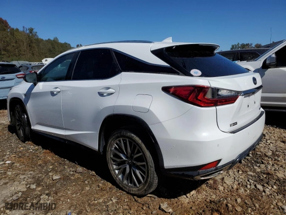 2020 Lexus RX with VIN 2T2YZMDA3LC256688, listed as a Copart auction lot 76548894 with 0 mi miles and Salvage Title. Bid and sale history available at carsss.com. Image 2.