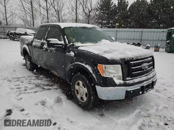 2010 Ford F-150 XL with VIN 1FTEW1E88AFC73162, listed as a Copart auction lot 67450871 with 288,009 mi miles and Clean title. Bid and sale history available at DreamBid. Image 11.