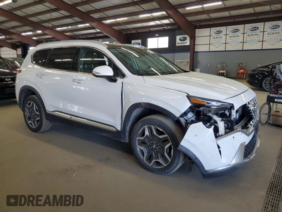 2023 Hyundai Santa Fe Limited with VIN 5NMS4DAL0PH532162, listed as a Copart auction lot 55289655 with 48,887 mi miles and Clean Title. Bid and sale history available at DreamBid. Image 4.