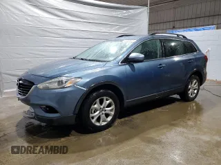 2014 Mazda CX-9 Touring with VIN JM3TB2CA2E0436726, listed as a Copart auction lot 49463005 with 140,539 mi miles and Salvage Title. Bid and sale history available at carsss.com. Image 1.