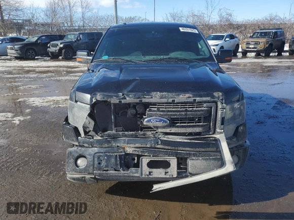2013 Ford F-150 XL with VIN 1FTFW1CF2DFD07185, listed as a Copart auction lot 46261025 with 282,067 mi miles and Salvage Title. Bid and sale history available at carsss.com. Image 5.