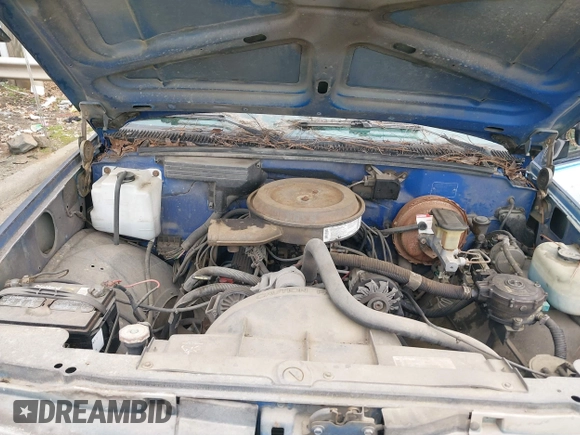 1993 GMC Sierra 1500 with VIN 1GTGC24KXPE562174, listed as a IAAI auction lot 41154577 with 259,881 mi miles and . Bid and sale history available at DreamBid. Image 10.